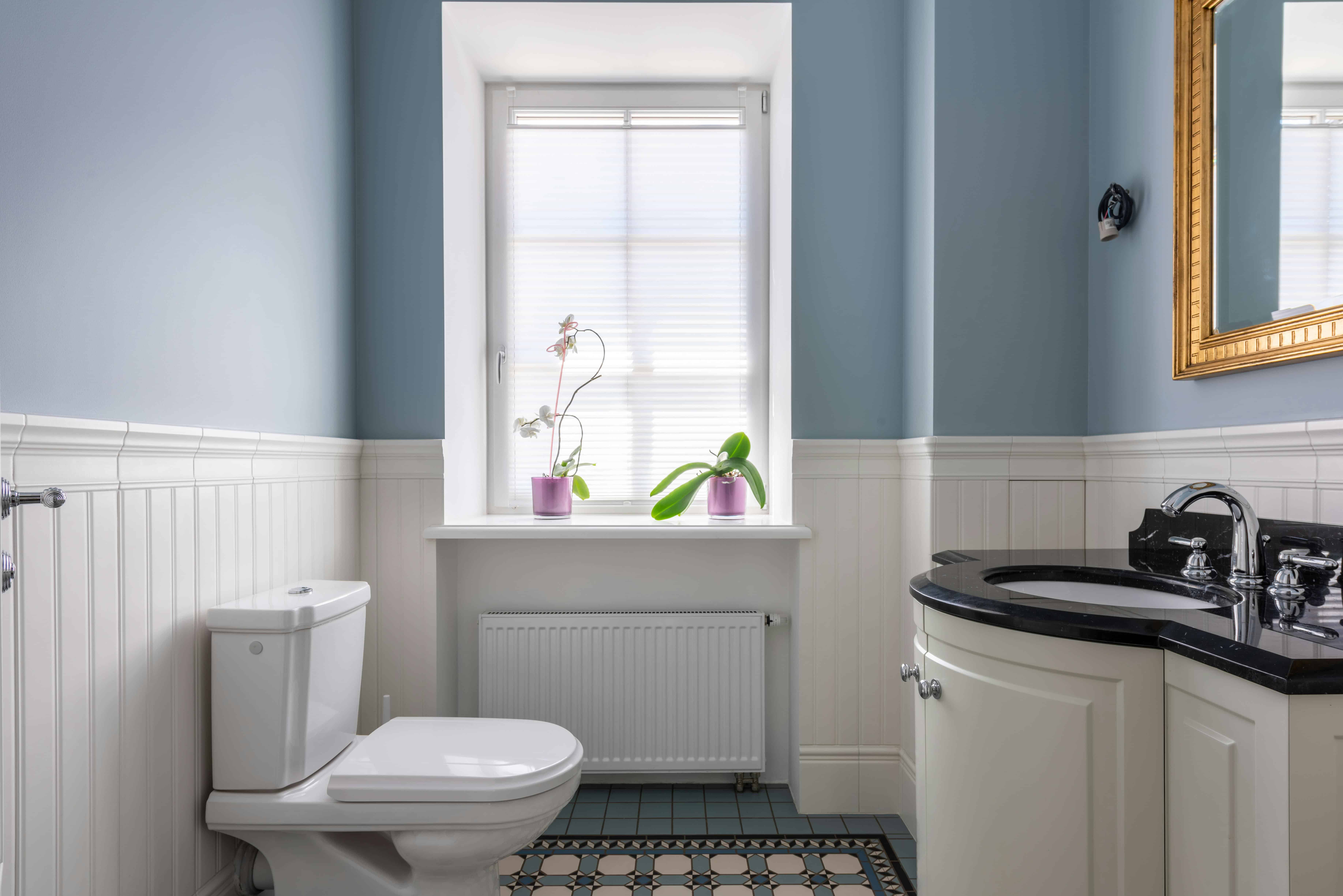 lovely bathroom including toilet and sink with blue walls